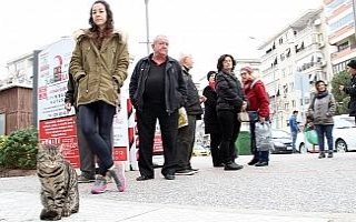 4 yıldır süt almak için sıraya giriyor
