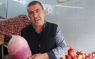 6 kilo 380 gramlık turp görenleri şaşırttı