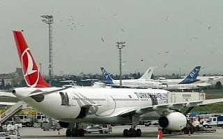 Atatürk Havalimanı’nda uçağa martılardan yoğun...