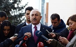 Bakan Çavuşoğlu, Zeytin Dalı Harekatı’nın...