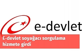 E-devlet soyağacı sorgulama hizmete girdi