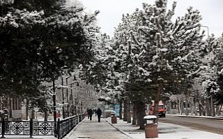 Erzurum güne karla uyandı