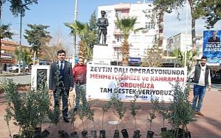 Harekata 10 bin zeytin fidanıyla destek