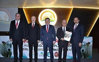 Hedef buzağı ölümlerini sıfırlamak