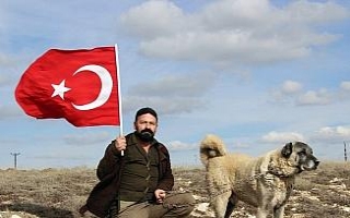 Kangal köpekleri Zeytin Dalı Harekatına hazır