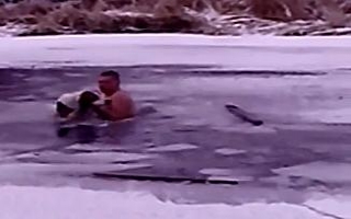 Köpeği kurtarmak için ölümü göze aldı