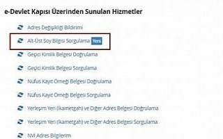 Soyağacı sorgulama yeniden aktif edildi