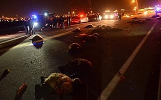 Sürüsüne çarpan minibüsü ateşe verdi