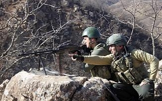 Teröristlerin kış üslenme alanlarına yönelik...