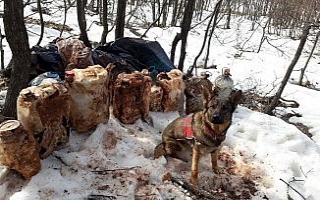 Tunceli’de 4 sığınak imha edildi, 150 kiloluk...