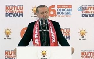 "Biri timsahın alt çenesi diğeri de üst çenesidir"