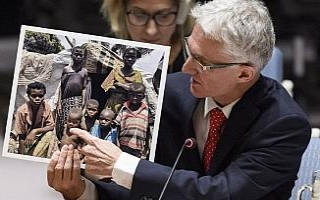 BM’den Kongo uyarısı