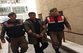 Devriye gezen jandarma PKK üyesini yakaladı
