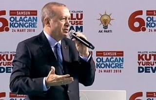 Erdoğan Afrin’deki son rakamı açıkladı