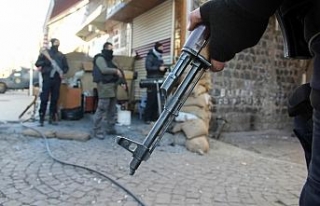 Hakkari’de silah ve mühimmat ele geçirildi