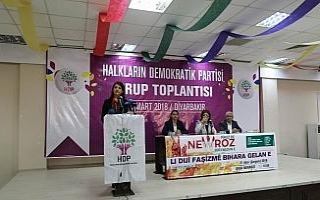 HDP grup toplantısı Diyarbakır’da yapıldı