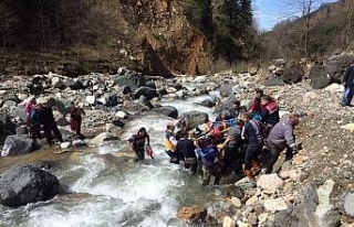 Kestikleri ağacın altında kaldılar