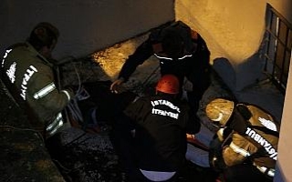 Köpekten korktu, 3 metreden düştü