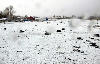 Mart karı Erzurum’u esir aldı