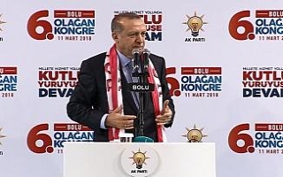 "Özgürlüğümüzü ecdadın fedakarlıklarına...