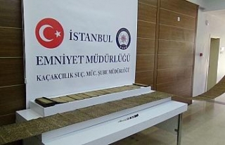 Peygamberler şeceresini yurt dışına kaçırdılar