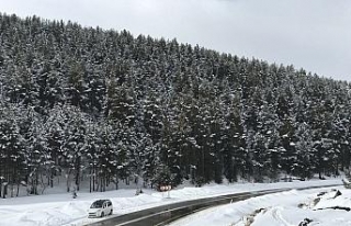 Sarıkamış’ta kartpostallık kar görüntüleri