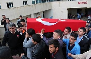 Şehit korucular için tören düzenlendi