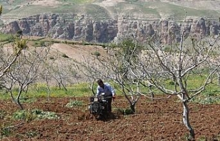 6 bin liraya çalıştıracak işçi bulamıyorlar