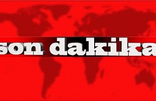 Almanya’da araç kalabalığa daldı