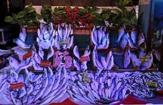 Balık sezonu sona erdi