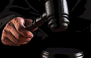 Boydak kardeşler hakkında istenen cezalar belli...
