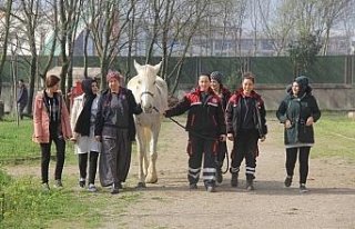 Dokunmaya korktukları atların seyisi oldular