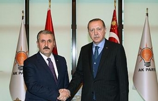Erdoğan Destici görüşmesi başladı