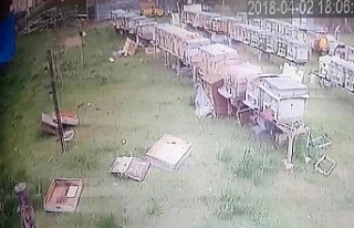 Gümüşhane’de rüzgar kovanları böyle dağıttı