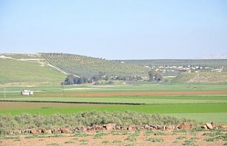 Hatay’a "Zeytin Dalı Sınır Kapısı"