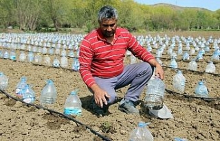 Hurdacıdan aldığı 3 bin pet şişeyle sera yaptı