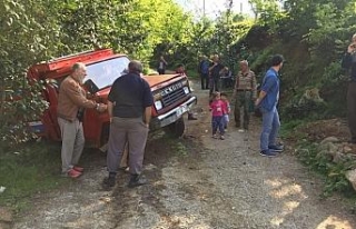 Kamyonet duvara çarptı: 23 yaralı