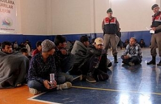 Muğla’da 145 kaçak göçmen yakalandı