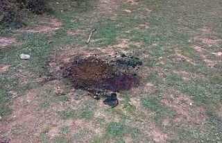Önce öldürüp sonra yakmışlar