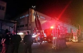 Pendik’te korkutan yangın