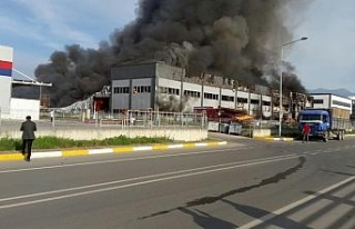 Sakarya’da fabrika yangını