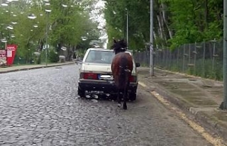 Trafikte ata işkence