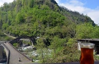 Türkiye’nin havası en temiz ili Artvin oldu