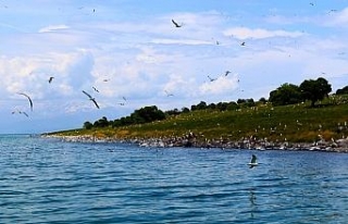 Adır Adası eşsiz dokusuyla büyülüyor