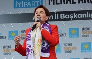 Akşener seçim beyanname açıkladı