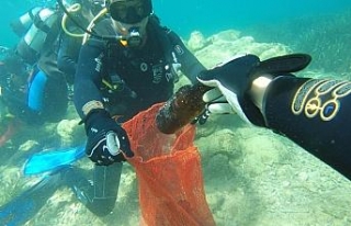 Deniz dibi temizlik çalışmaları sona erdi