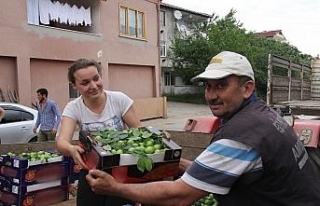 Erik tarlada 3, tezgahta 10 lira