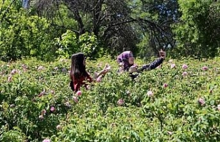 Gül bahçeleriyle nüfusunun 10 katı turist çekti