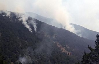 Hatay’daki orman yangın söndürülemedi