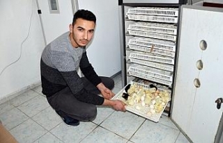Hobi için başladı, şimdi ihracatını yapıyor